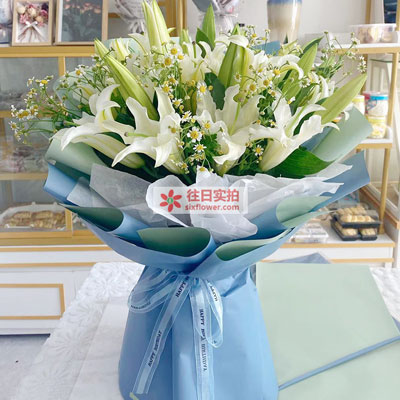 拉萨8支白色多头百合洋甘菊，互倾的思念