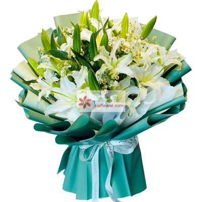 拉萨8支白色多头百合洋甘菊，如潮的思念